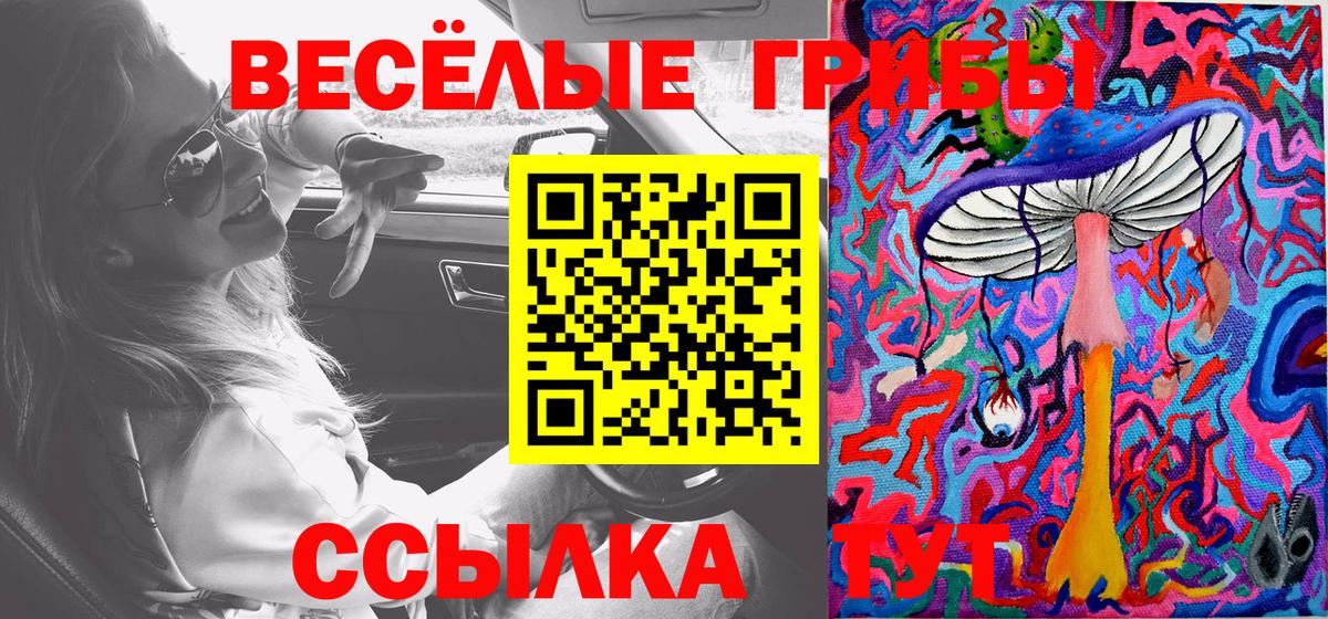 Галлюциногенные грибы мицелий  Галлюциногенные грибы ЛСД  Вход с VPN  Усть-Джегута 
